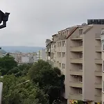 Wild Walnut * 바르나