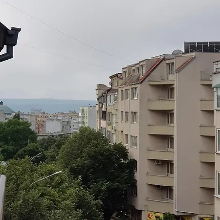 Wild Walnut * Várna