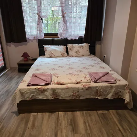 Apartman Wild Walnut *