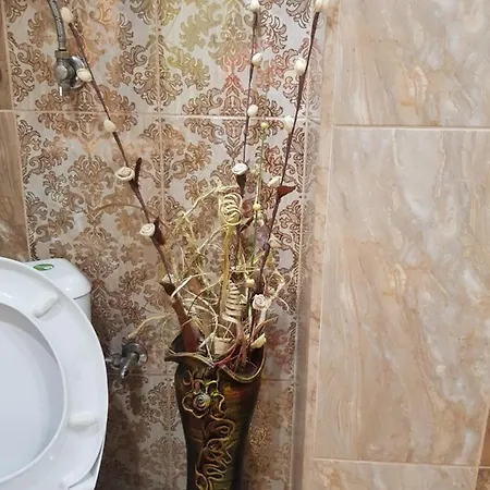 Апартамент Wild Walnut *