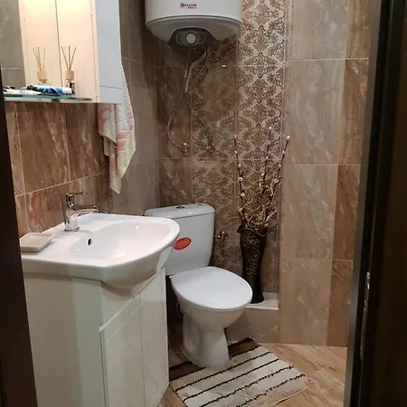 Wild Walnut * Варна