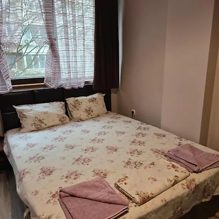 Wild Walnut Варна