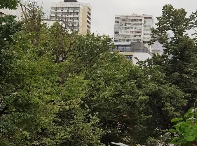 Wild Walnut Apartmán